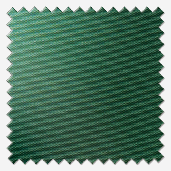 Forest Green Colour Swatch